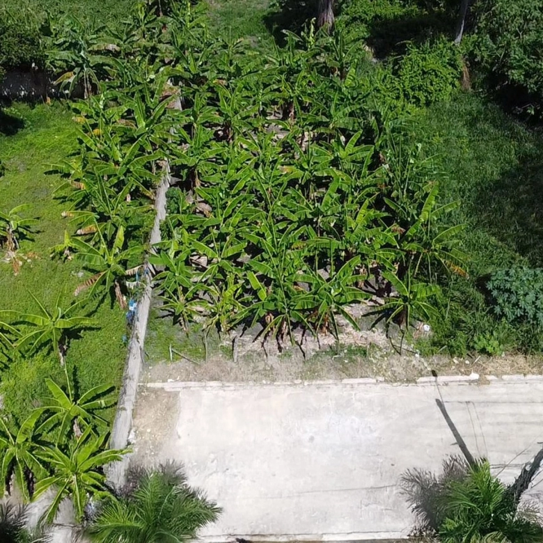 Solar en Gurabo | urb privada