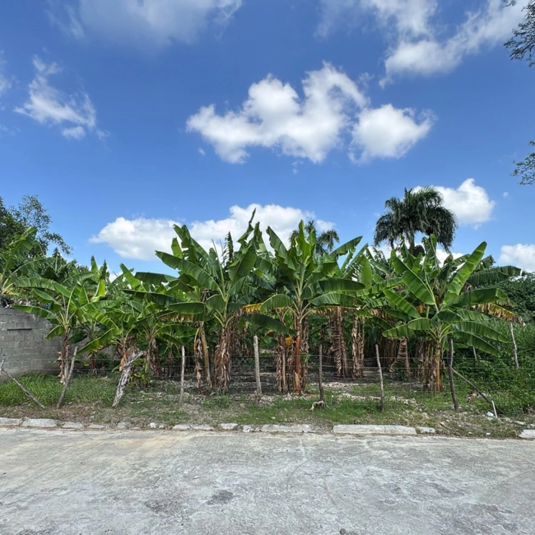 Solar en Gurabo | urb privada